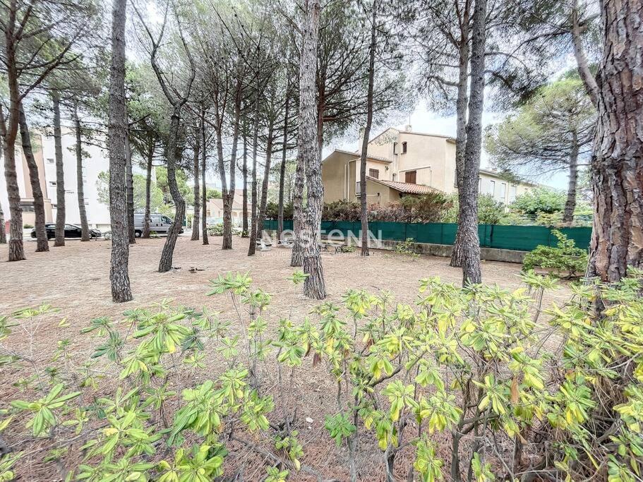 2980-Appartement 1 Ch A 100M De La Mer Argelès-sur-Mer Eksteriør bilde