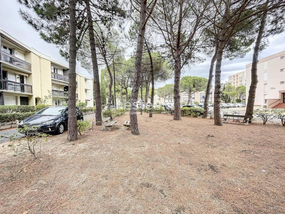2980-Appartement 1 Ch A 100M De La Mer Argelès-sur-Mer Eksteriør bilde